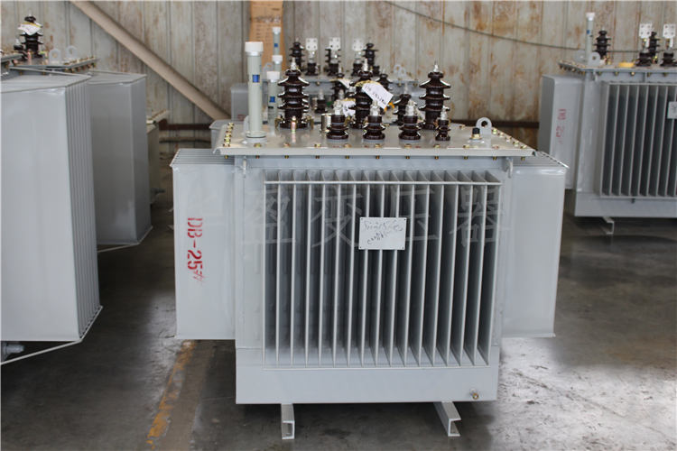 金华S20-800kVA/10kV/0.4kV变压器